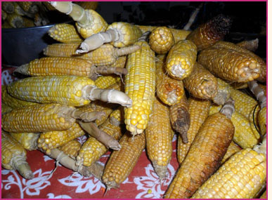 Roasted corn.